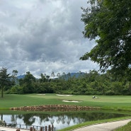 바나힐 골프클럽 페어웨이 사진