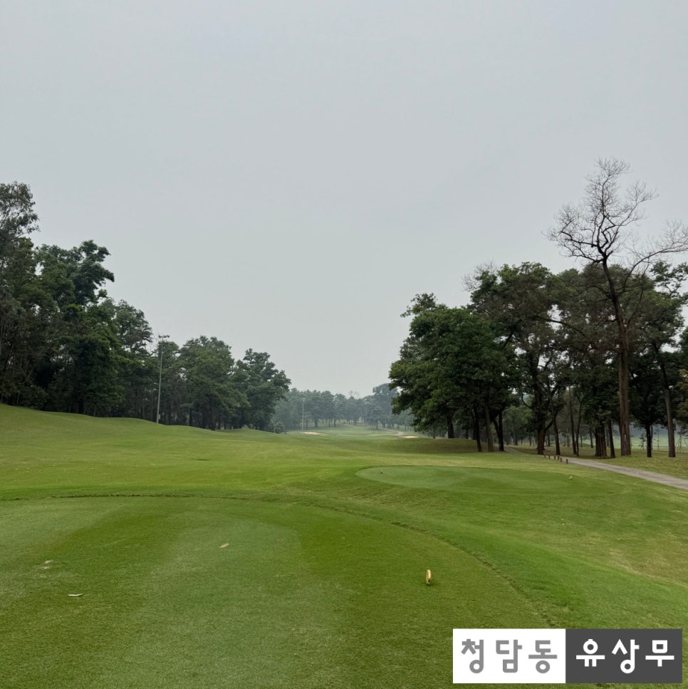 동모CC 마운틴 뷰 후반 공략 대표 이미지