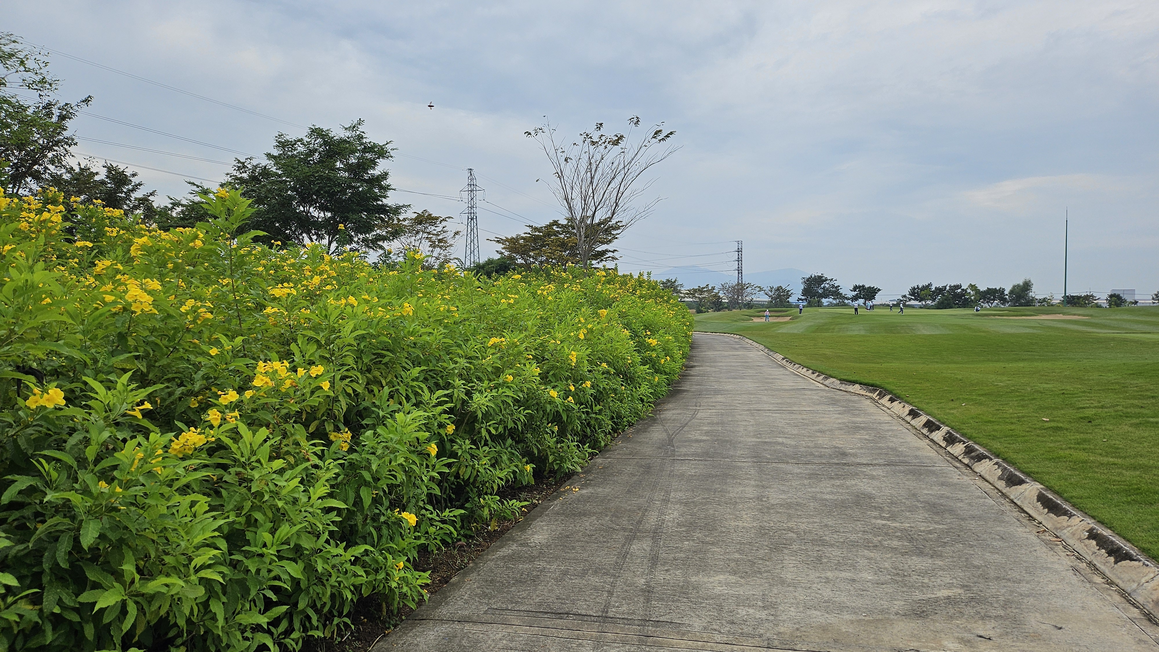 jessyjeon3 블로그의 라운드 사진