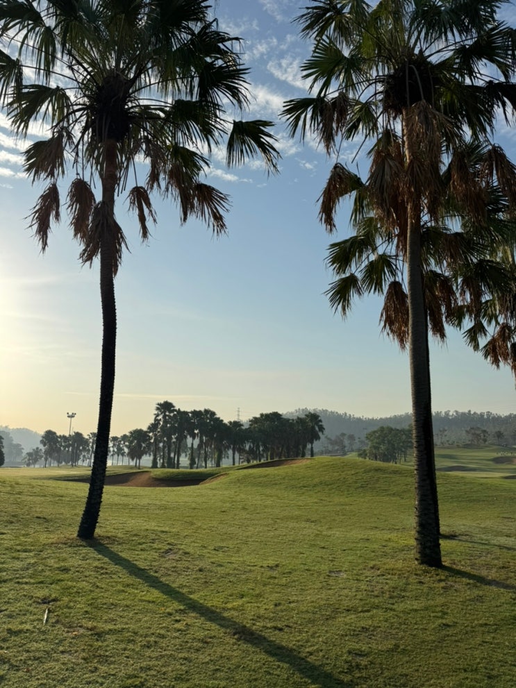 베트남 겨울 골프여행 찌링 골프장 후기 썸네일
