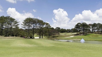 [베트남 달랏 골프여행 : 달랏 팰리스 골프장 (Da Lat Palace Golf)후기]