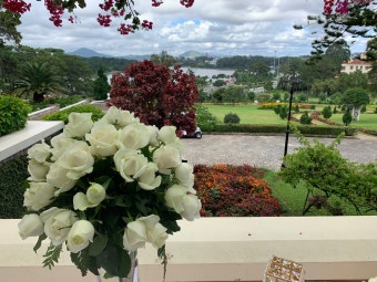 [달랏 팰리스 골프 클럽 Dalat Palace 답사후기]