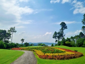 [하노이 라운딩] Dai Lai Golf Club