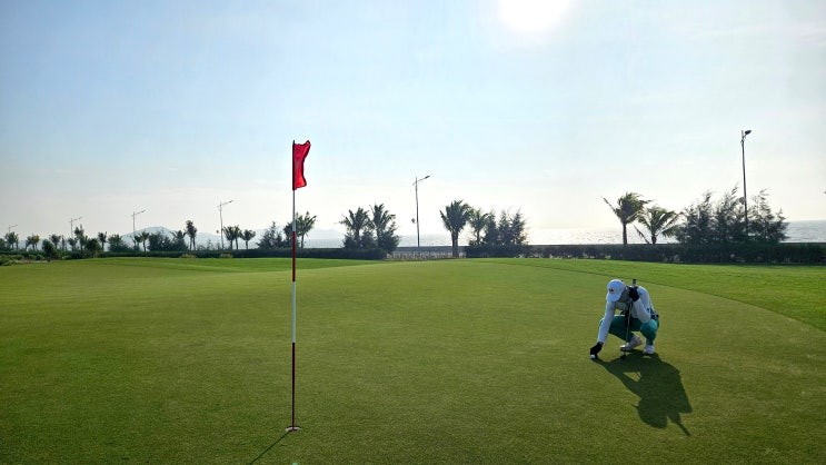 드래곤 링크스 전지훈련 후기 썸네일