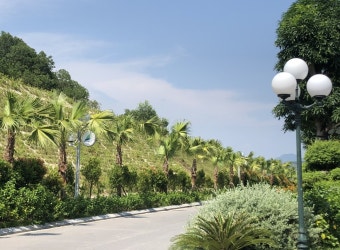 베트남 골프여행 추천 FLC 하롱이 대세!