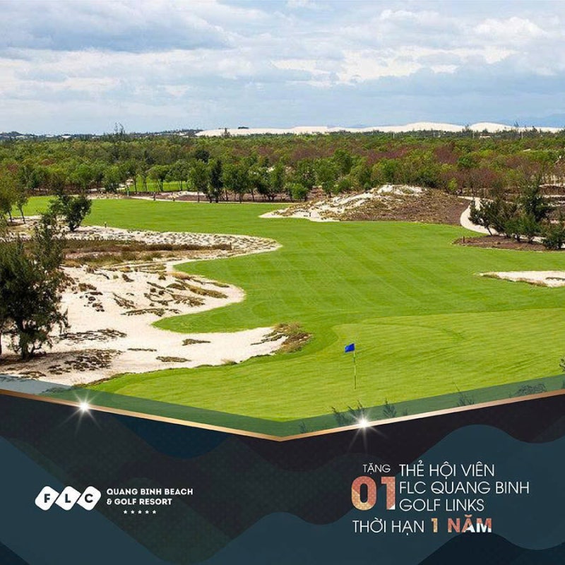 FLC 꽝빈 링크스 정보 정리 이미지