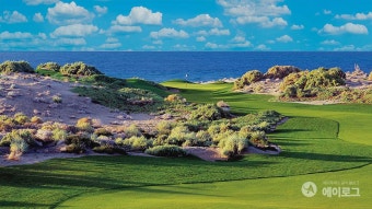 [베트남 / 퀴논] 한국 KPGA와 KLPGA 선수들이 선택한 겨울 골프 전지훈련지. 'FLC 퀴논 럭셔리 골프패키지 4박6일'