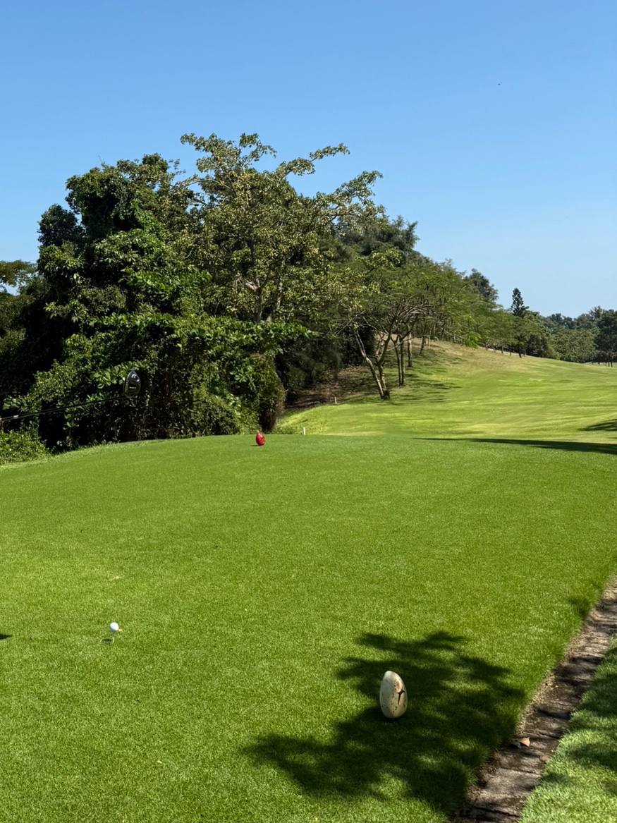 파라다이스 CC 라운드 후기 이미지