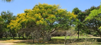 베트남 붕따우 여행, 파라다이스 cc 골프투어 이용 후기