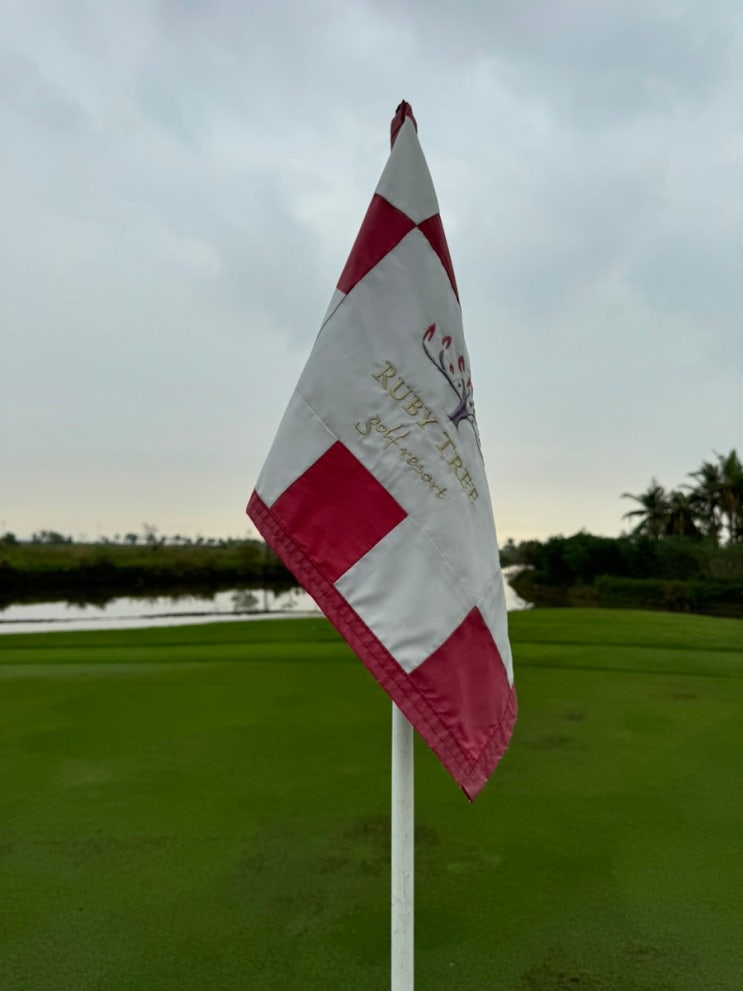 인카트 가능 루비트리 후기 썸네일