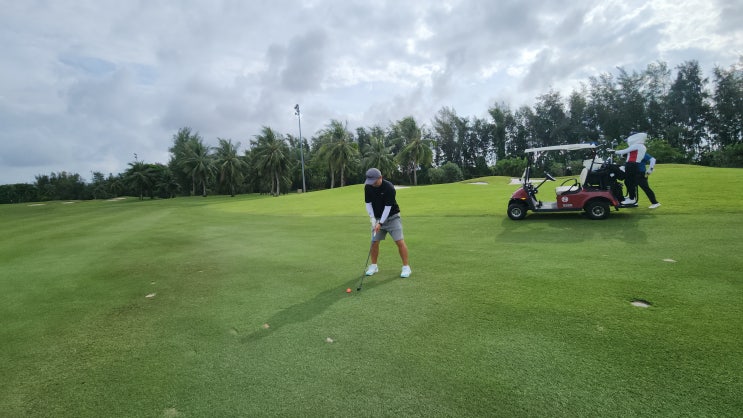 하이퐁 4색 골프 비교 썸네일