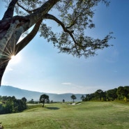 [달랏골프장] 달랏골프 후기 썸네일