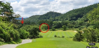 [샹그릴라CC] 레이크(Lake) 코스 둘러보기