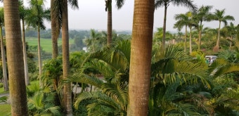 스카이 레이크..sky lake  ..골프장..