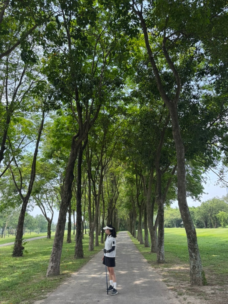 djpark9551 블로그 송베 라운드 후기 썸네일