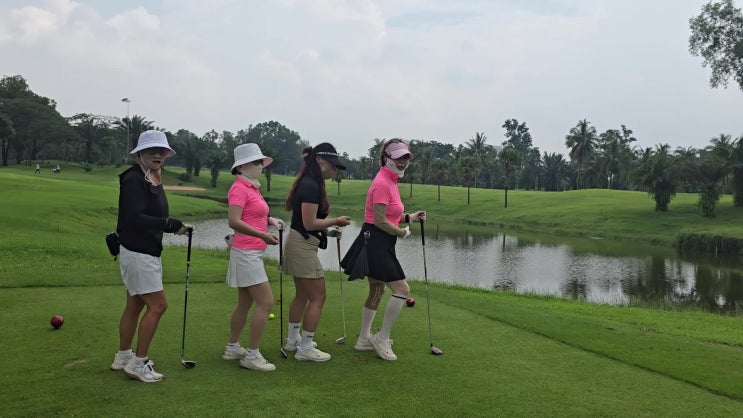 t-offtour 블로그 빈증 골프장 비교 썸네일