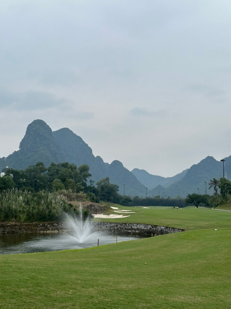 vnhanoi_ 스톤벨리 후기 썸네일