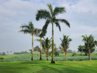 베트남 호치민 골프여행 풀빌라 포함 떤선녓 롱탄 정산 3박 순삭 후기