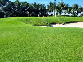 베트남 호치민 명문 골프장 - 떤선녓(탄손넛,탄손낫) 골프 라운딩 후기