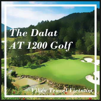 [베트남_달랏골프] 친환경 골프코스를 자랑하는 AT 1200 골프클럽 (The Dalat AT 1200 Golf)