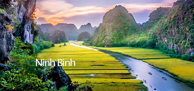 SAS 투어의 닌빈 3박5일 견적 썸네일