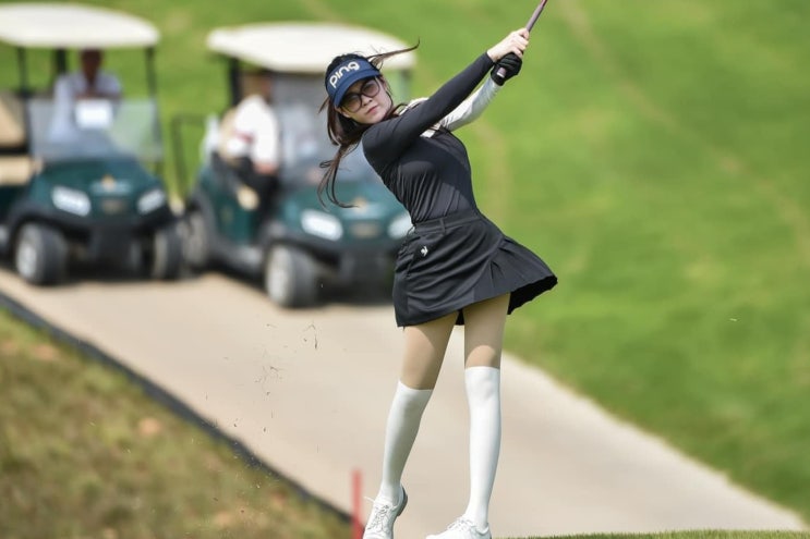 sreego 블로그 트윈도브스 정복기 썸네일